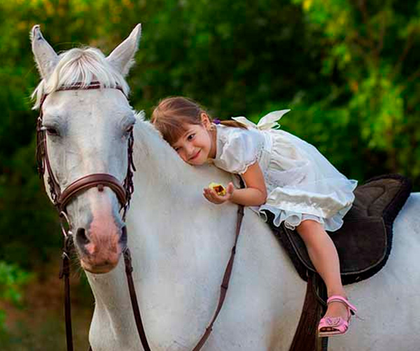 Escuela para caballos