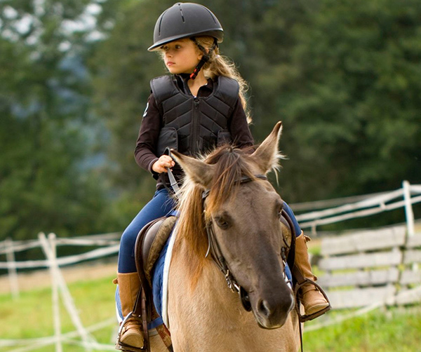 Escuela para caballos