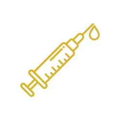 Escuela para caballos