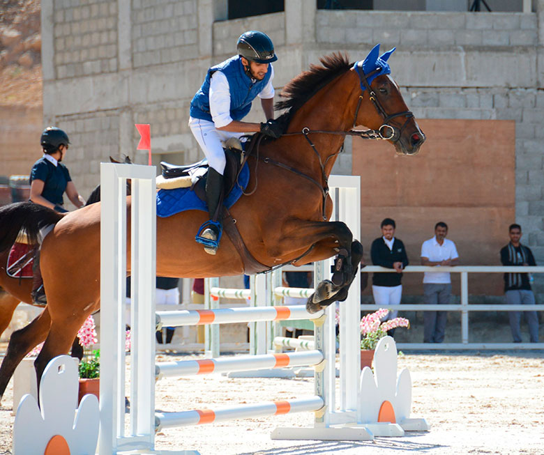 Escuela para caballos