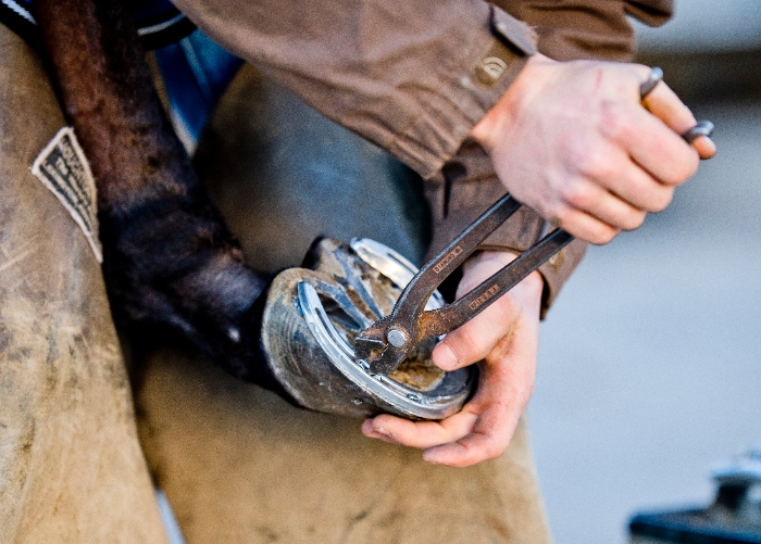 TALLER DE HERRAJE (nivel 1)