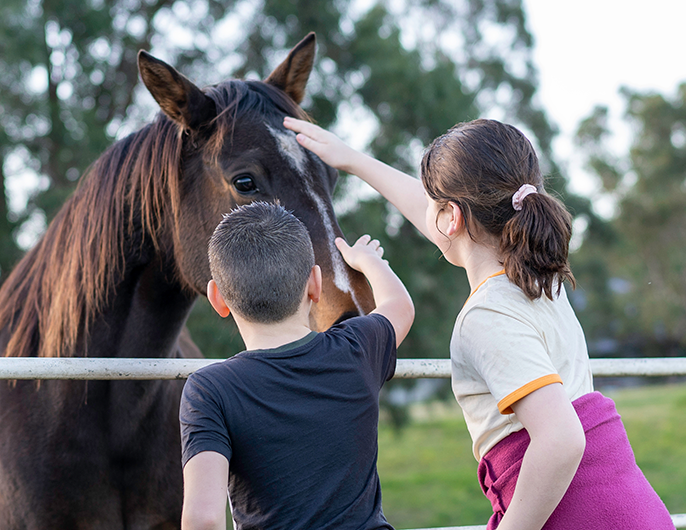 Curso de Verano - Ecuestre para niños