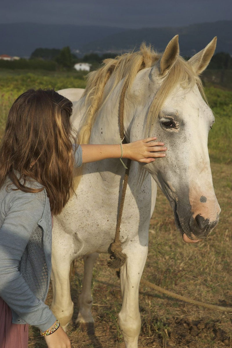 Taller de Doma Natural y Etología en EQUINOS